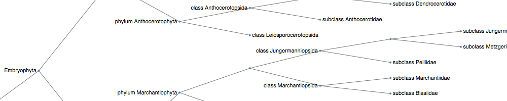 Tree Diagram